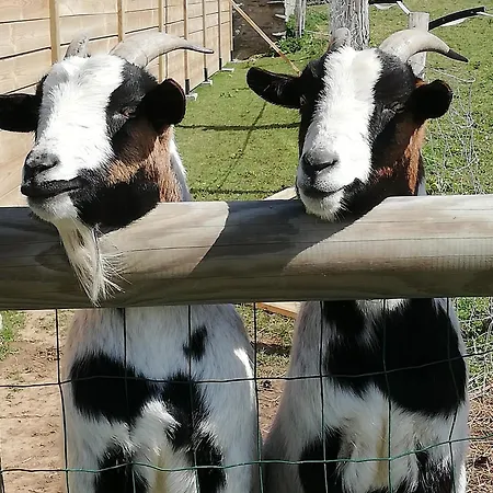 Semesterbostad Entre Terre Et