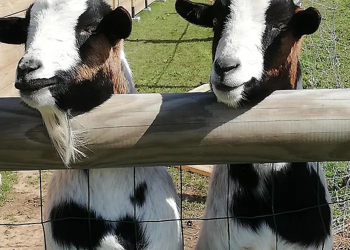 Ferienhaus Entre Terre Et